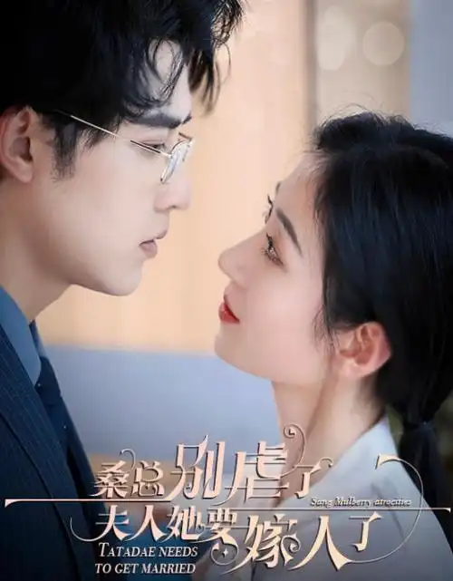 长夜书 热播电视剧全集在线观看
